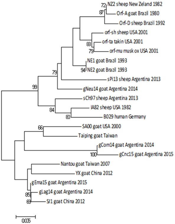 Figure 5