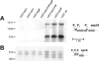 FIG. 5.