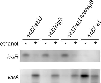 FIG. 8.