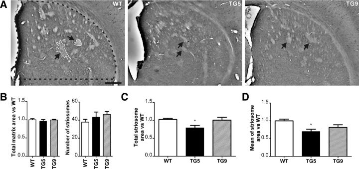 Figure 9.