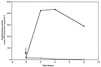 FIG. 5