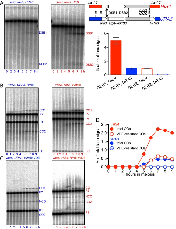 Figure 1—figure supplement 1.