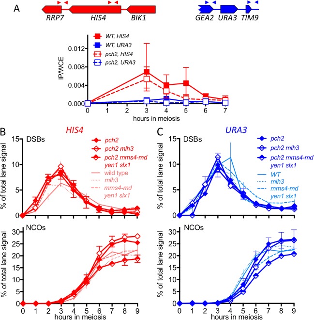 Figure 4—figure supplement 1.