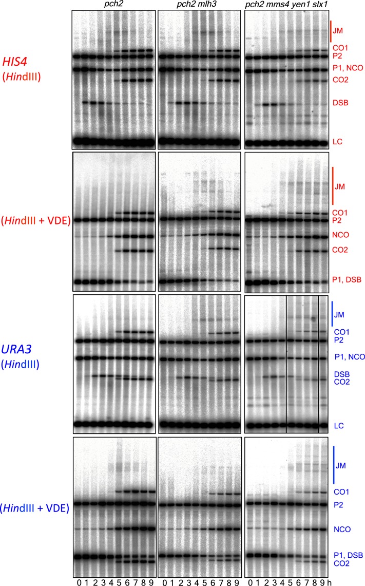 Figure 4—figure supplement 2.