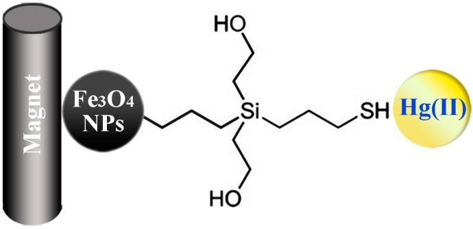 Scheme 3