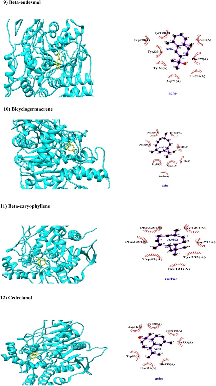 Fig. 2