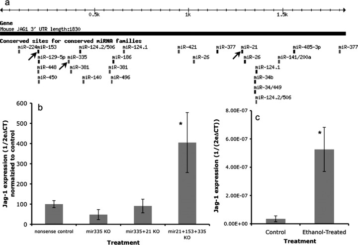 Figure 10.