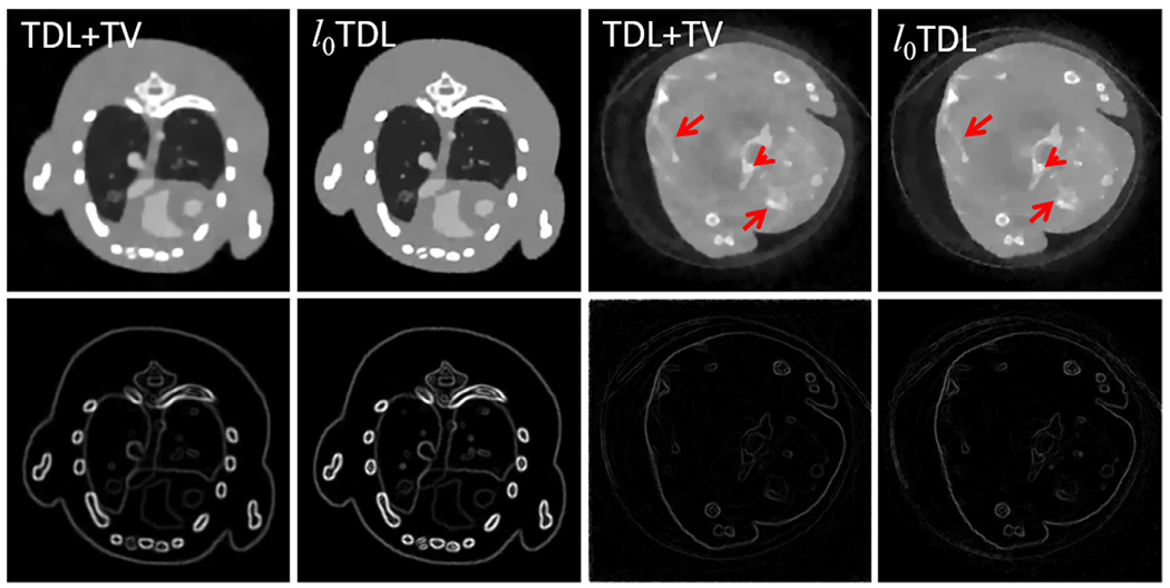 Fig. 22.