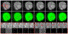 Fig. 20.