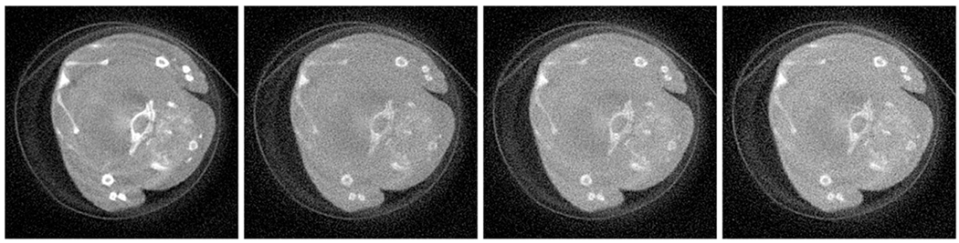 Fig. 16.