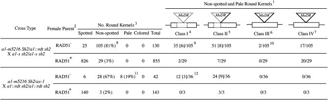 Figure 4.—