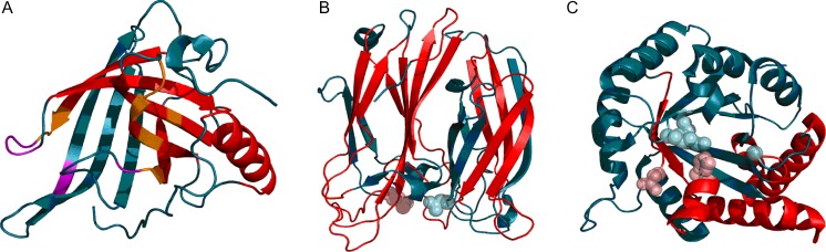 Fig. 8