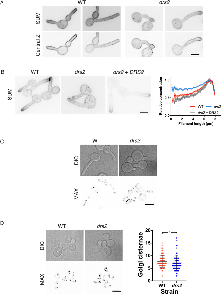 Fig 6