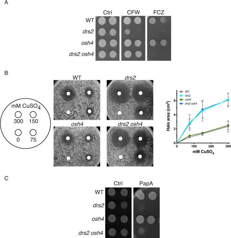 Fig 11