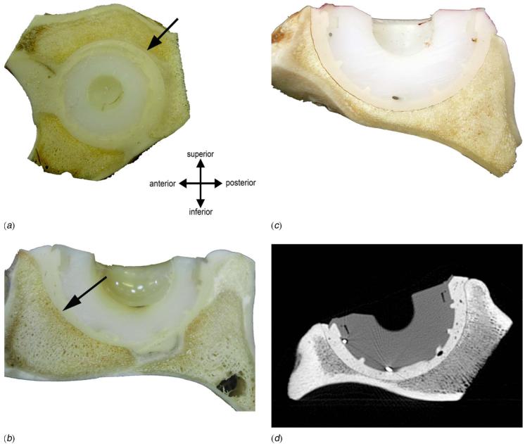 Fig. 9