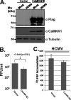 FIG. 6.