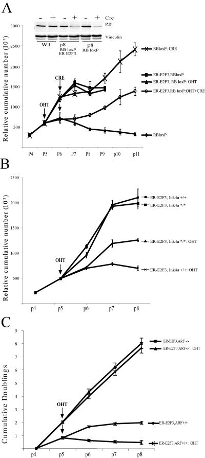 FIG. 7.