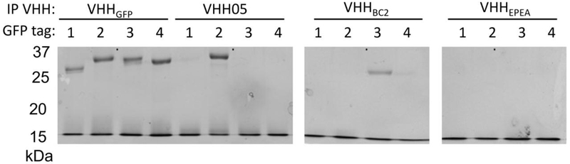 Figure 5: