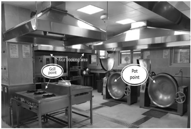Fig. 1