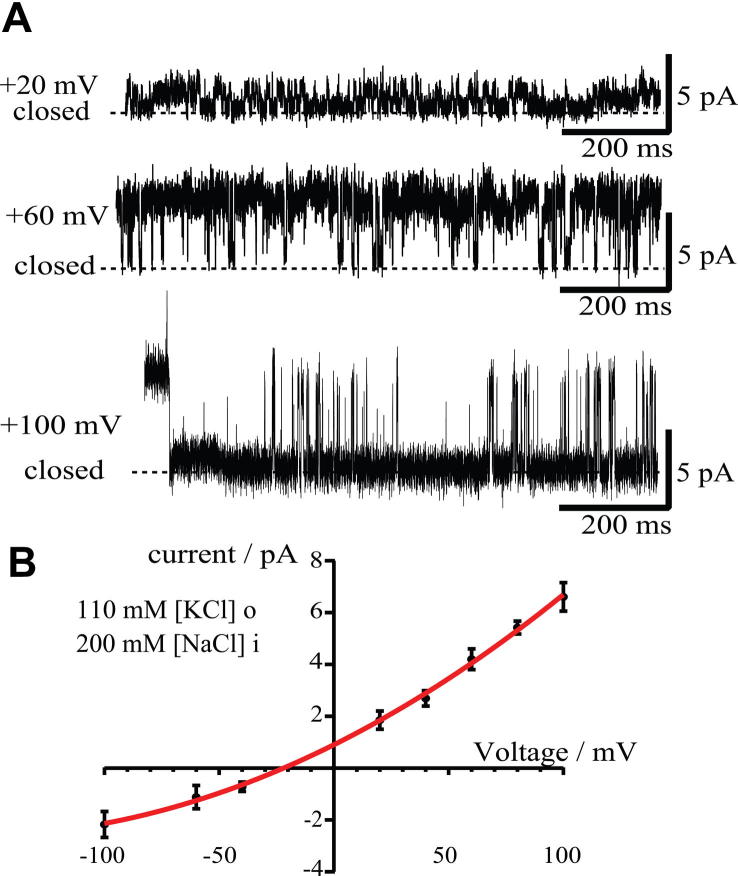 Fig. 4