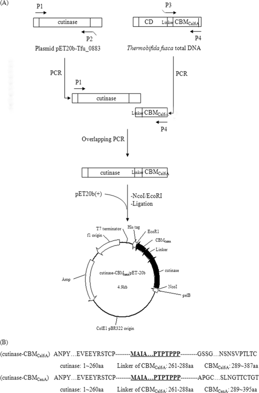 FIG. 1.