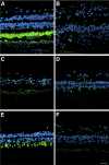 Figure 10.