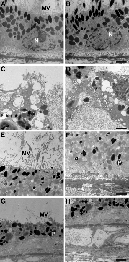 Figure 12.