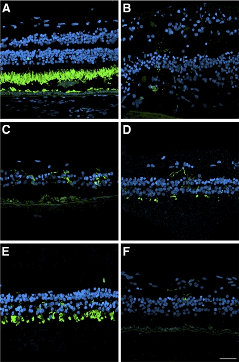 Figure 10.