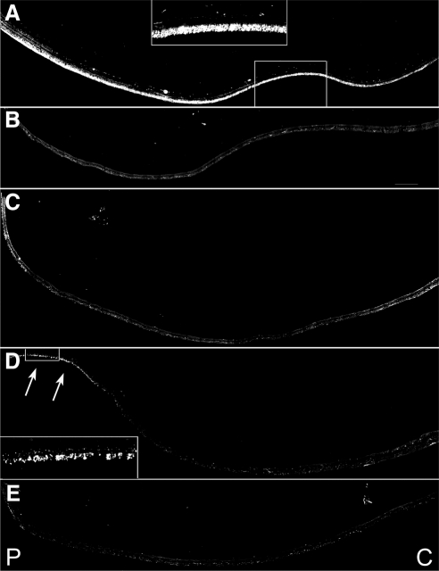 Figure 9.