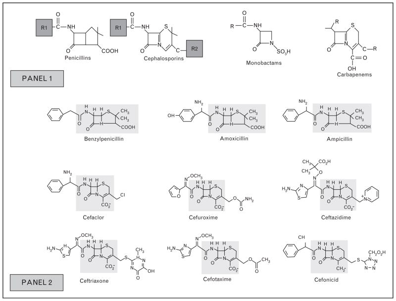 FIGURE 1