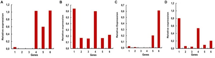 FIGURE 4