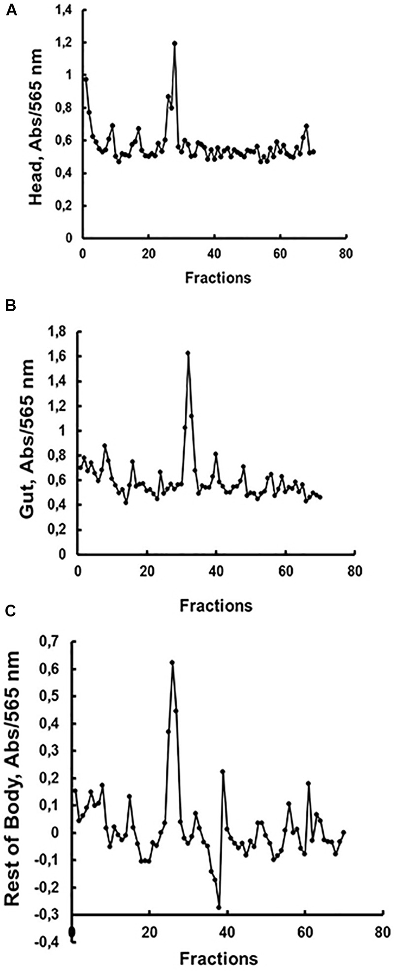 FIGURE 3