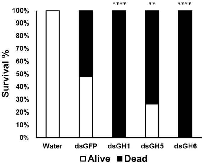 FIGURE 6