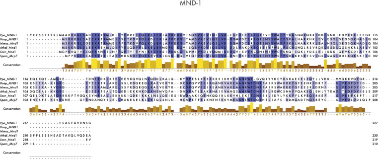 Figure 1—figure supplement 4.