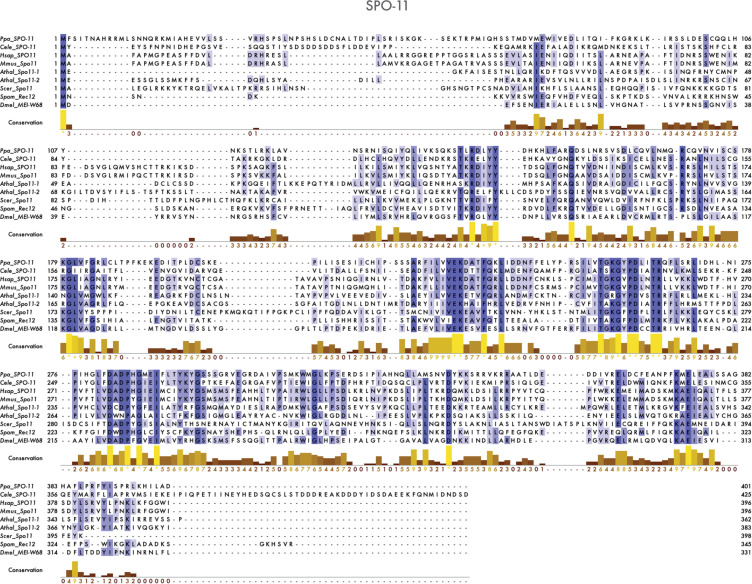 Figure 1—figure supplement 1.