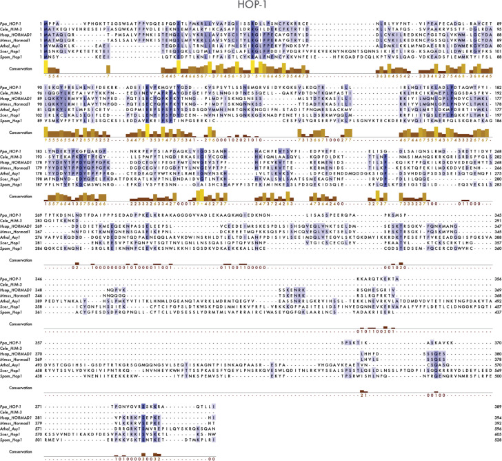 Figure 1—figure supplement 6.