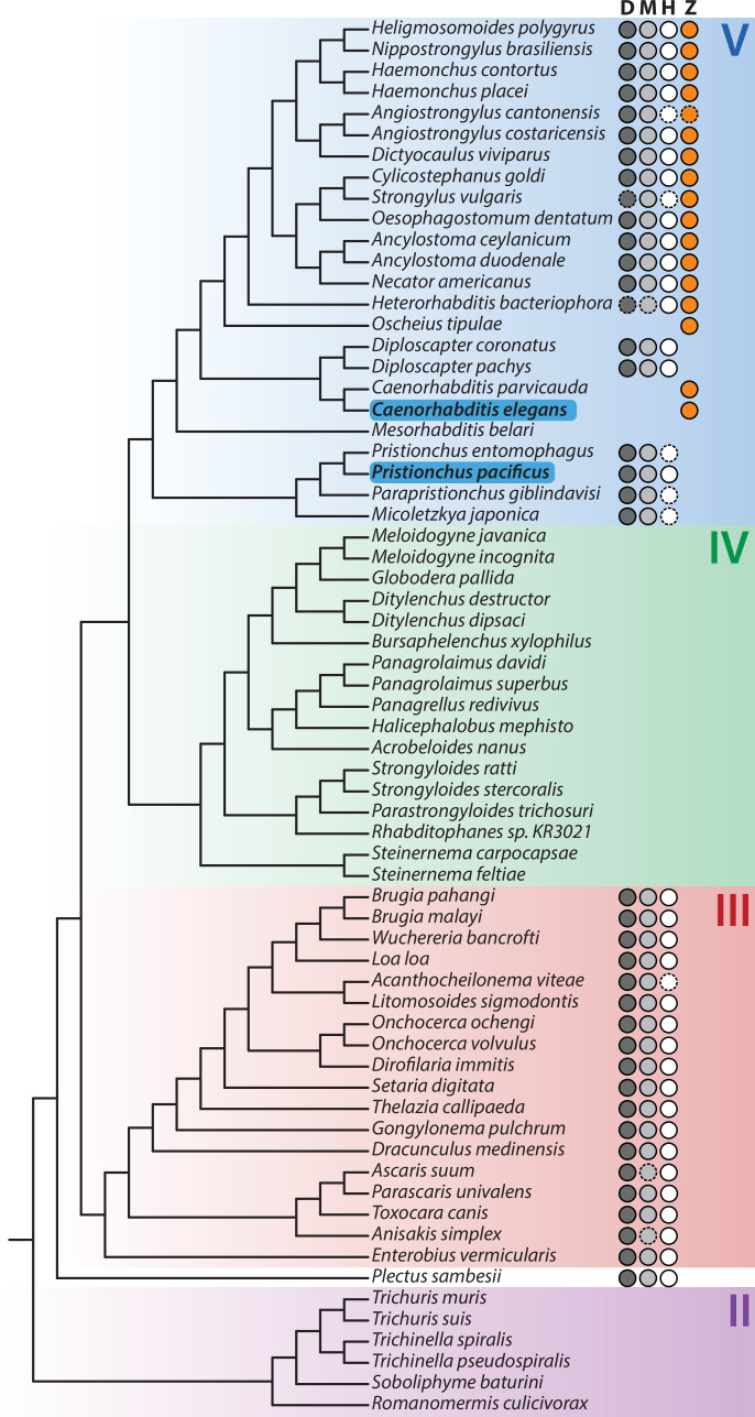 Figure 2—figure supplement 1.