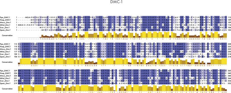 Figure 1—figure supplement 3.