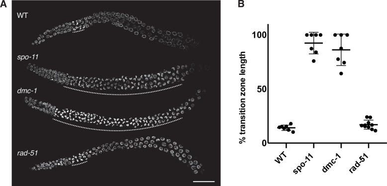 Figure 2—figure supplement 2.