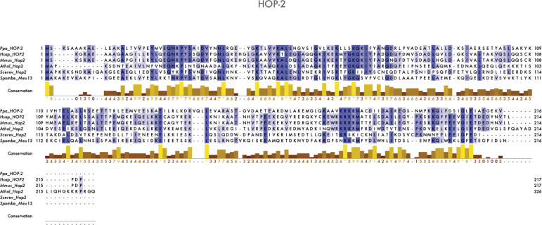 Figure 1—figure supplement 5.