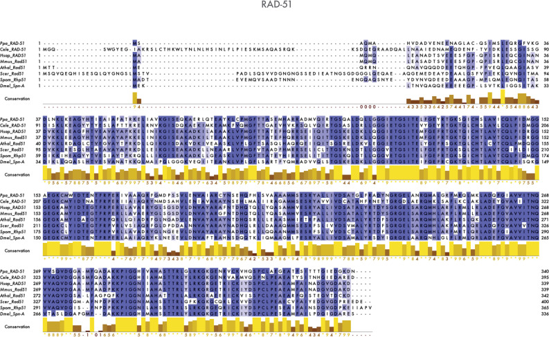 Figure 1—figure supplement 2.