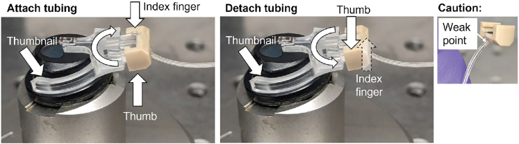 Figure 11