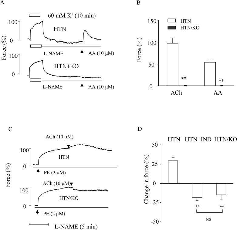 Fig 6