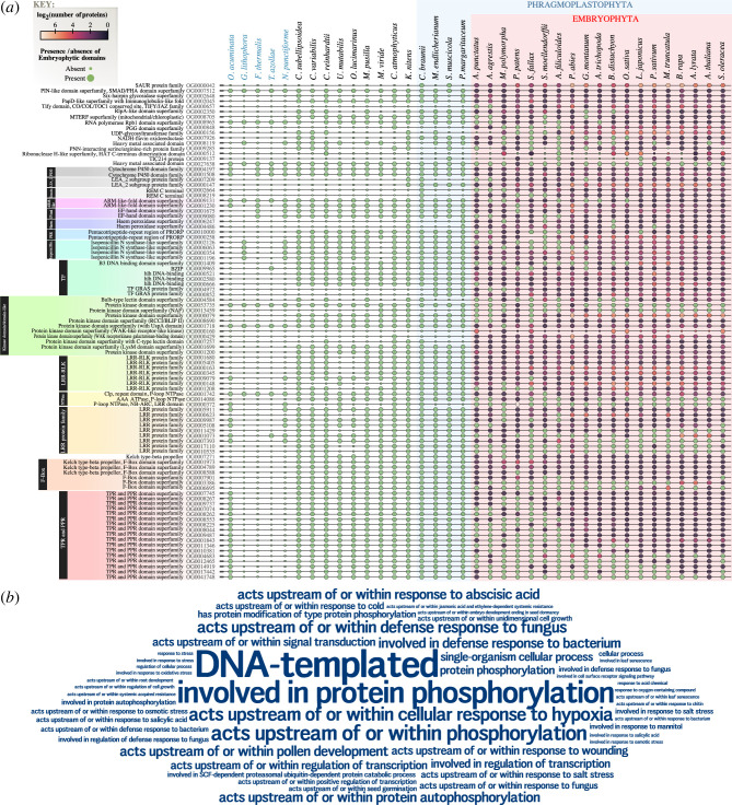 Latent genetic potential (LGP) in the protein building blocks for plant terrestrialization.