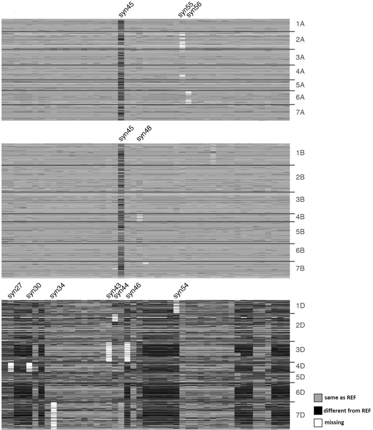 Fig. 1