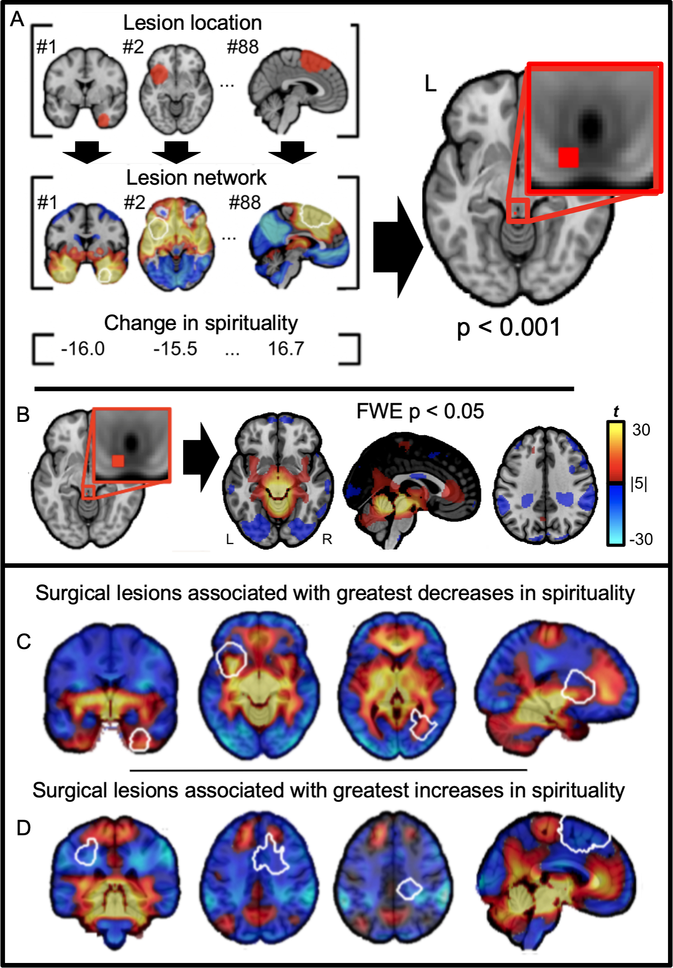 Figure 2 -