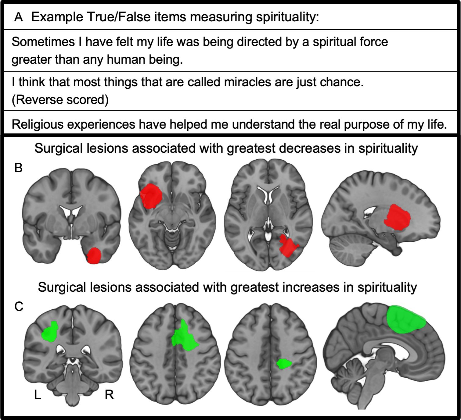 Figure 1 -