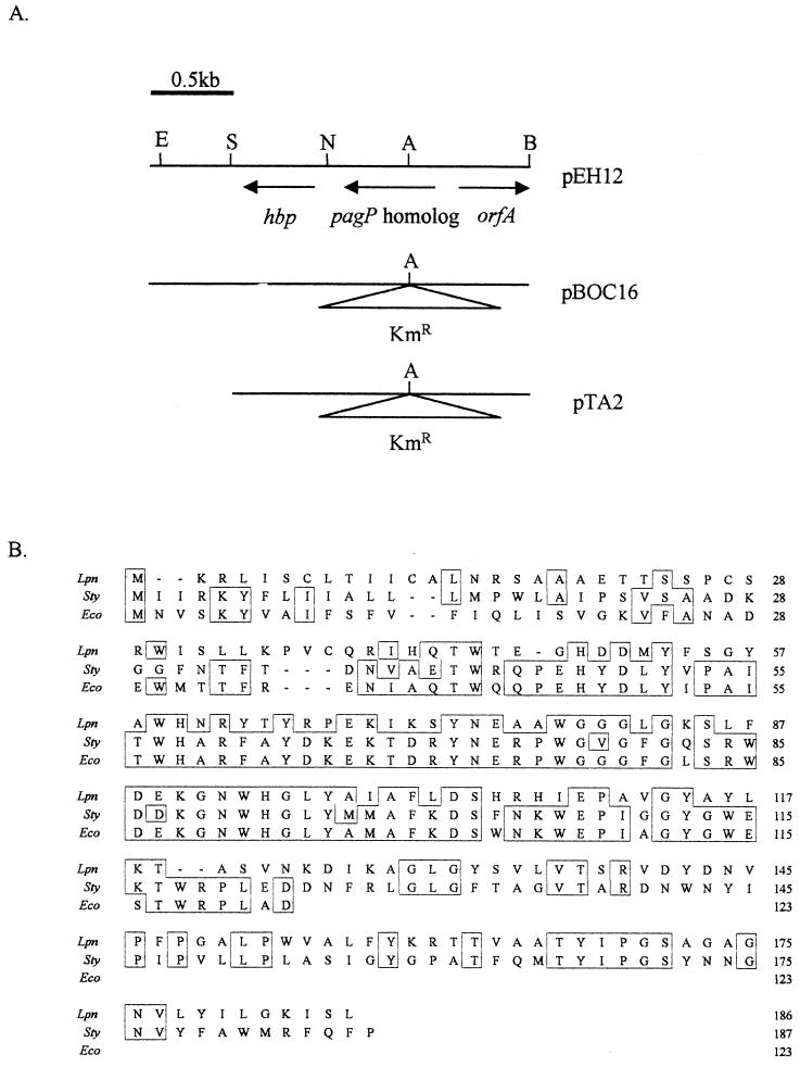 FIG. 1