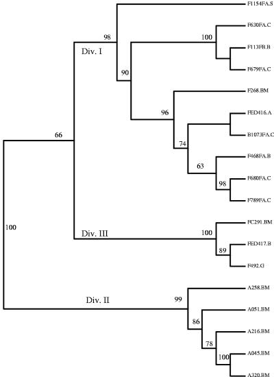 FIG. 5.