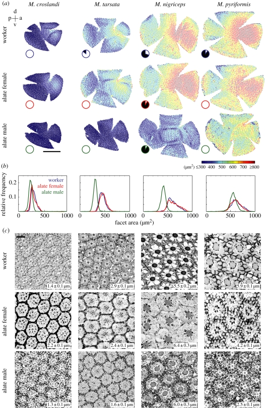 Figure 3.